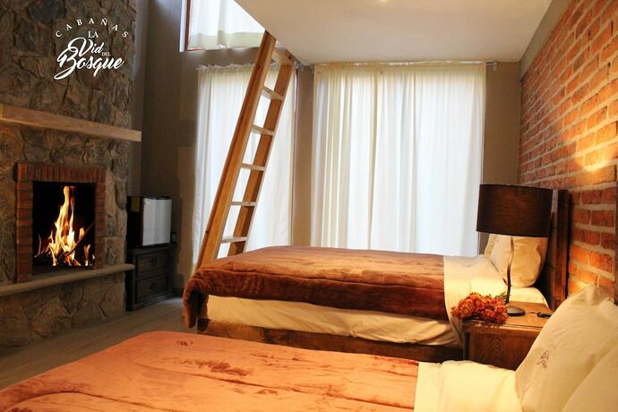 Imagen de la habitación del Hotel Caba&ntilde;as La Vid Del Bosque. Foto 19