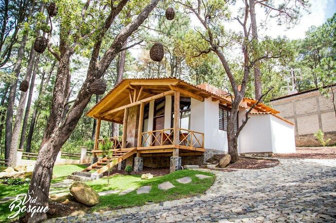 Imagen general del Hotel Caba&ntilde;as La Vid Del Bosque. Foto 12