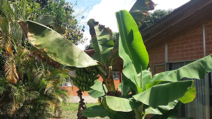 Imagen de los interiores del Hotel Caba&ntilde;as Megahotel. Foto 19