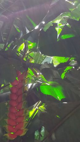 Imagen de los interiores del Hotel Caba&ntilde;as Megahotel. Foto 20