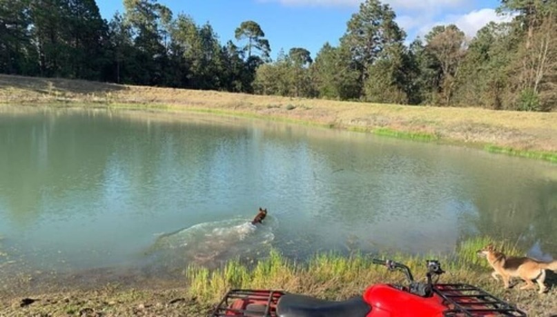 Imagen general del Hotel Caba&ntilde;as Zacatlan. Foto 6