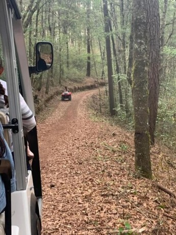 Imagen general del Hotel Caba&ntilde;as Zacatlan. Foto 13