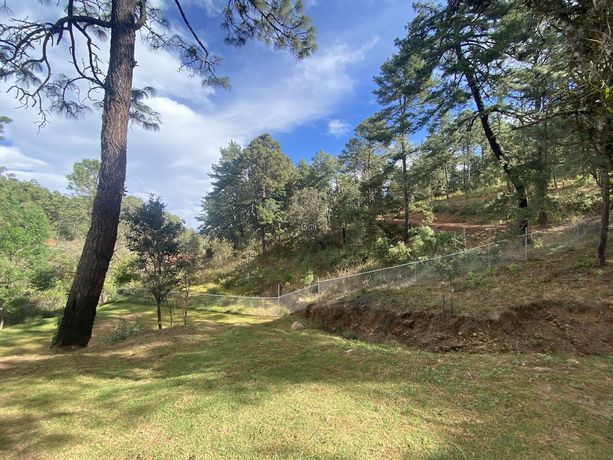 Imagen de la habitación del Hotel Caba&ntilde;as los Pirineos. Foto 6