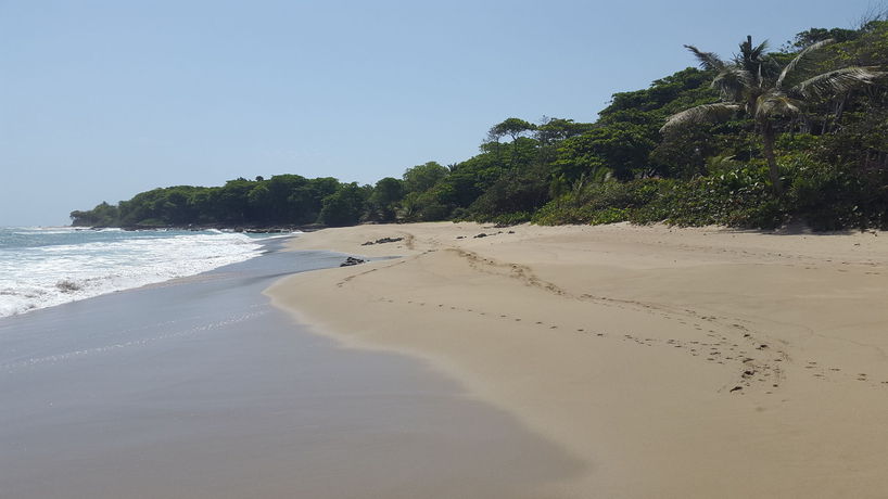 Imagen de la habitación del Hotel Cabarete Boutique Ecolodge Beachfront. Foto 6