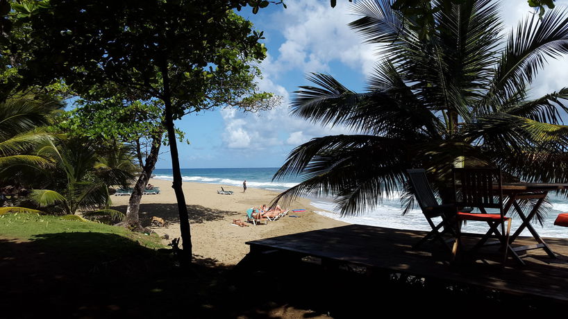 Imagen de los exteriores del Hotel Cabarete Boutique Ecolodge Beachfront. Foto 12