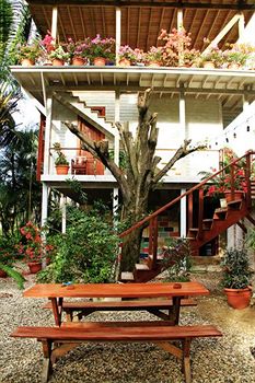 Imagen de los exteriores del Hotel Cabarete Surf Camp. Foto 5