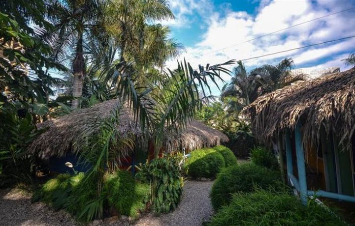 Imagen de la habitación del Hotel Cabarete Surf Camp. Foto 3