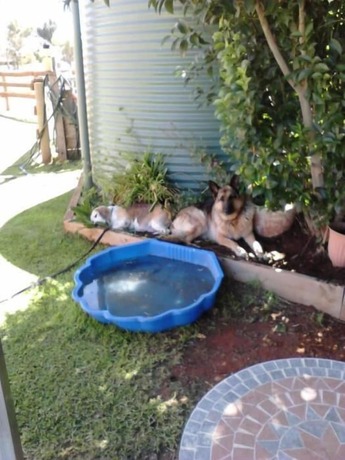 Imagen general del Hotel Cabarita Lodge. Foto 10