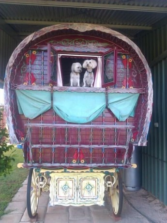 Imagen general del Hotel Cabarita Lodge. Foto 14