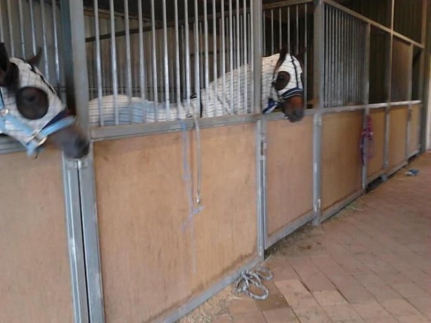 Imagen general del Hotel Cabarita Lodge. Foto 23