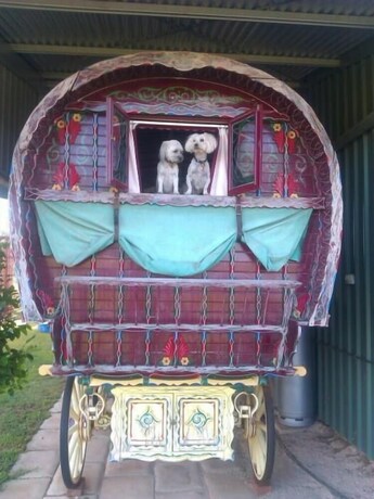 Imagen de los exteriores del Hotel Cabarita Lodge. Foto 32