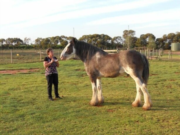Imagen de los exteriores del Hotel Cabarita Lodge. Foto 34