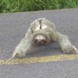 Imagen general del Hotel Cabinas Las Arenas. Foto 3