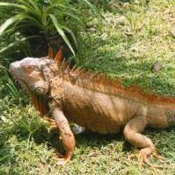 Imagen general del Hotel Cabinas Las Arenas. Foto 5