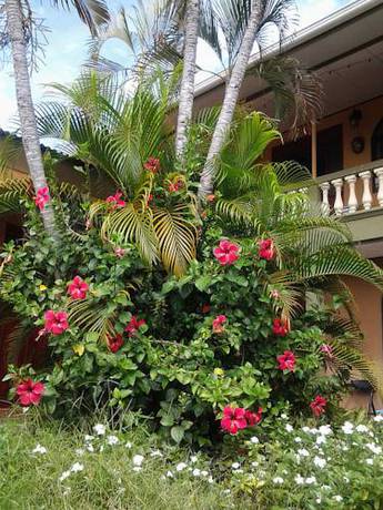 Imagen de los interiores del Hotel Cabinas Madeleine. Foto 6