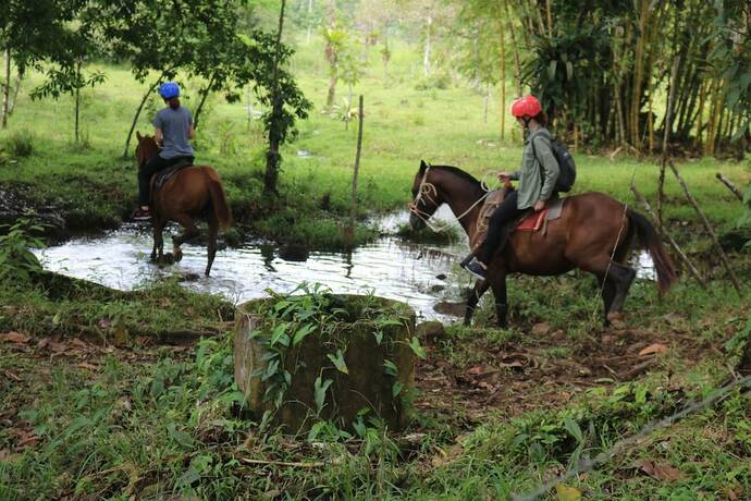 Imagen general del Hotel Cabinas Sue&ntilde;o Real Guatuso. Foto 12