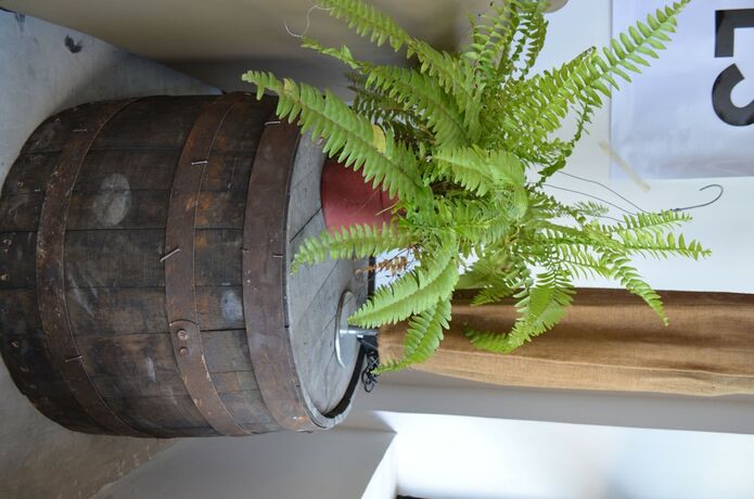 Imagen general del Hotel Cabins By Eco Tagaytay. Foto 7