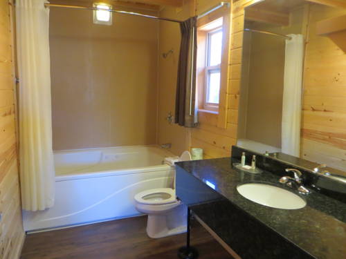 Imagen de la habitación del Hotel Cabins Of Mackinaw. Foto 14
