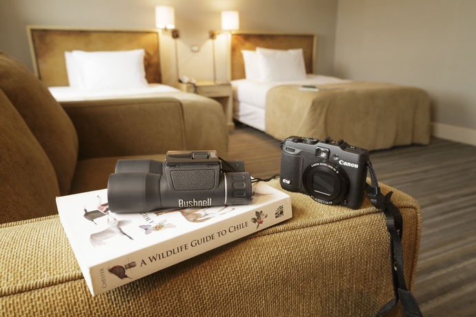 Imagen de la habitación del Hotel Cabo De Hornos. Foto 6