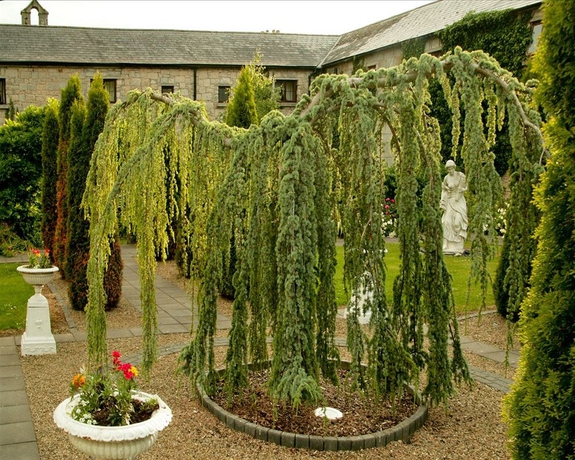 Imagen de los exteriores del Hotel Cabra Castle. Foto 6