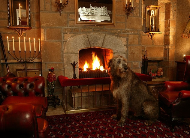 Imagen de los interiores del Hotel Cabra Castle. Foto 10