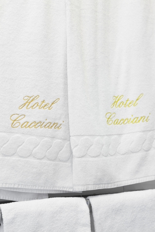 Imagen de la habitación del Hotel Cacciani. Foto 9