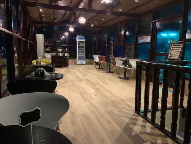 Imagen del bar/restaurante del Hotel Cactus Creek Ghana. Foto 5