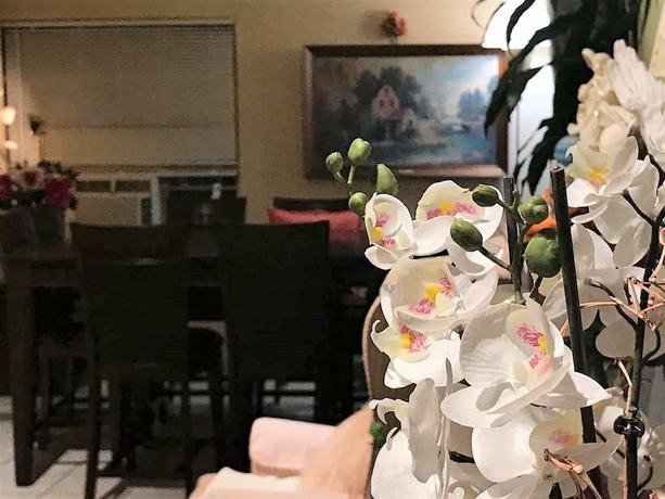 Imagen de los interiores del Hotel Cactus Inn and Suites. Foto 12