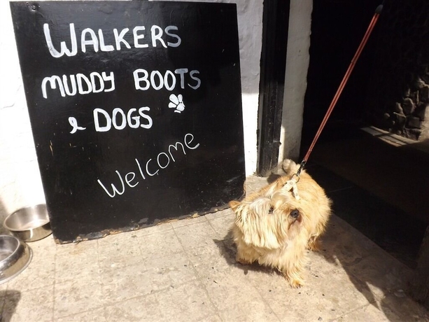 Imagen general del Hotel Cadgwith Cove Inn. Foto 11