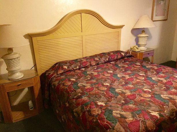 Imagen de la habitación del Hotel Cadillac Motel Fanning Springs. Foto 10