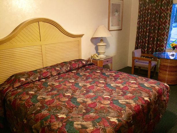 Imagen de la habitación del Hotel Cadillac Motel Fanning Springs. Foto 12