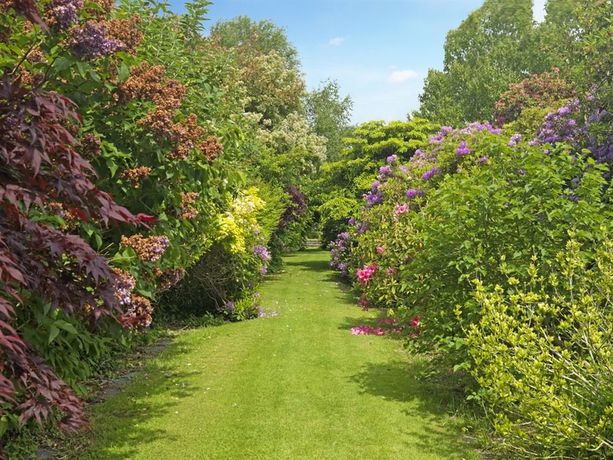 Imagen de la habitación del Hotel Caer Rhun Hall. Foto 10