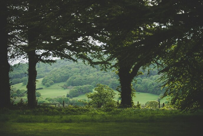 Imagen general del Hotel Caer Rhun Hall. Foto 9