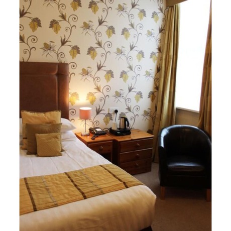 Imagen de la habitación del Hotel Caerwylan. Foto 15