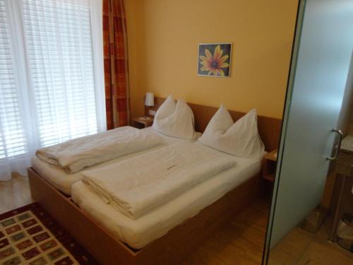 Imagen general del Hotel Cafe Lorenz. Foto 5