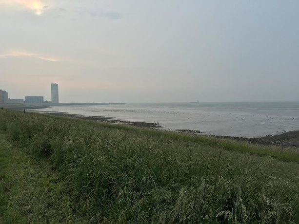 Imagen de los exteriores del Hotel Cafe pension The Chandelier. Foto 15