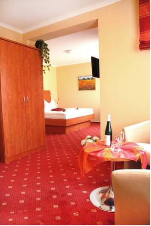 Imagen de la habitación del Hotel Caf&eacute; Ernst. Foto 12