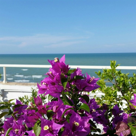 Imagen de la habitación del Hotel Caggiari. Foto 6