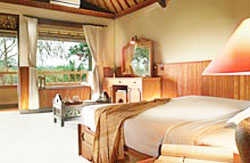 Imagen de la habitación del Hotel Cahaya Dewata. Foto 3