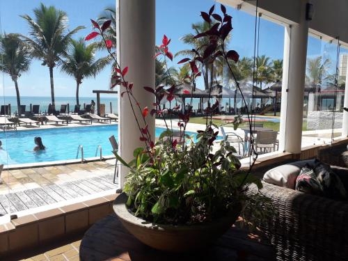 Imagen general del Hotel Cahy Praia. Foto 3