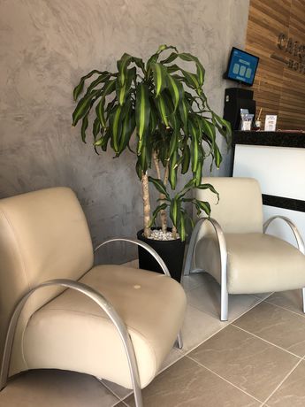 Imagen de los interiores del Hotel Cai&ccedil;ara. Foto 20