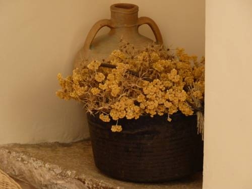 Imagen de los interiores del Hotel Cal Maginet. Foto 16