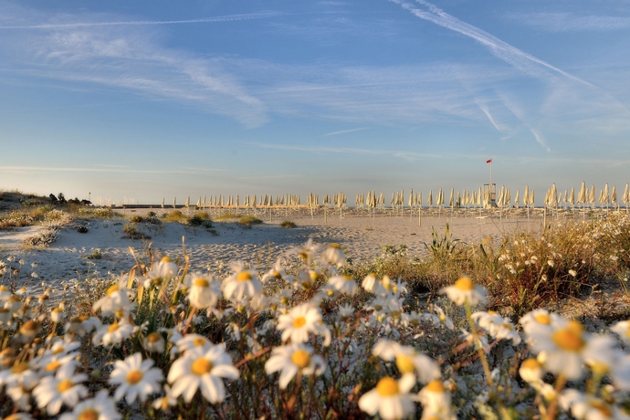 Imagen de los exteriores del Hotel Cala Della Torre. Foto 8