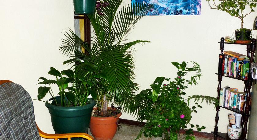 Imagen de los interiores del Hotel Cala Inn Bandb Airport. Foto 9