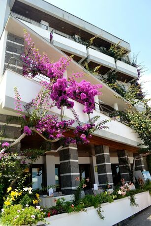 Imagen general del Hotel Cala Luna. Foto 1