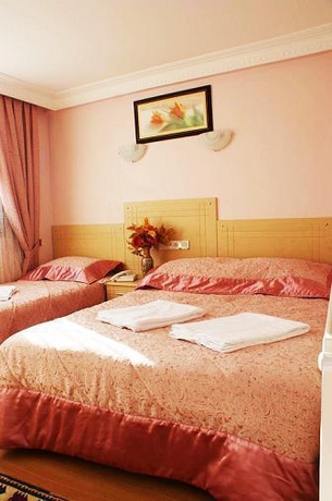 Imagen general del Hotel California Istanbul. Foto 8