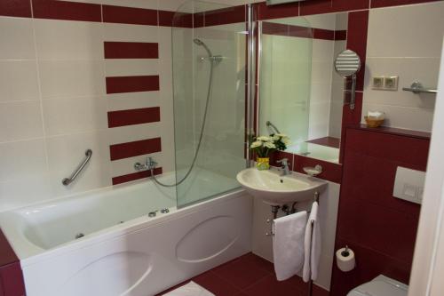 Imagen de la habitación del Hotel Calimbra Wellness Superior. Foto 8