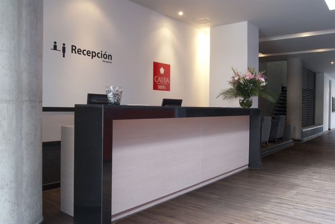 Imagen de los interiores del Hotel Calleja Suites. Foto 13