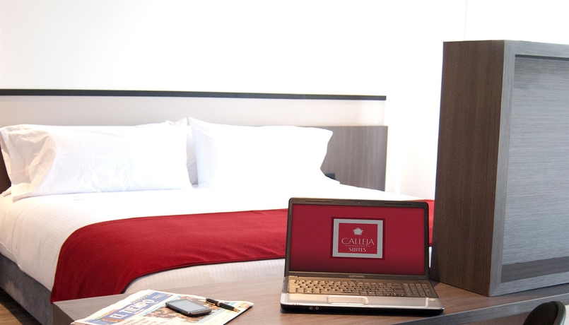 Imagen de la habitación del Hotel Calleja Suites. Foto 10