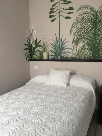 Imagen de la habitación del Hotel Calli Quetzalcoatl. Foto 6